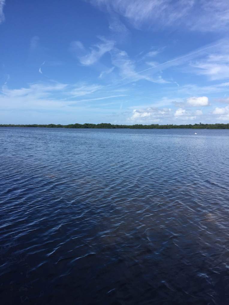 Exploring J.N. "Ding" Darling National Wildlife Refuge near my parents' home in Fort Myers, Fla.
