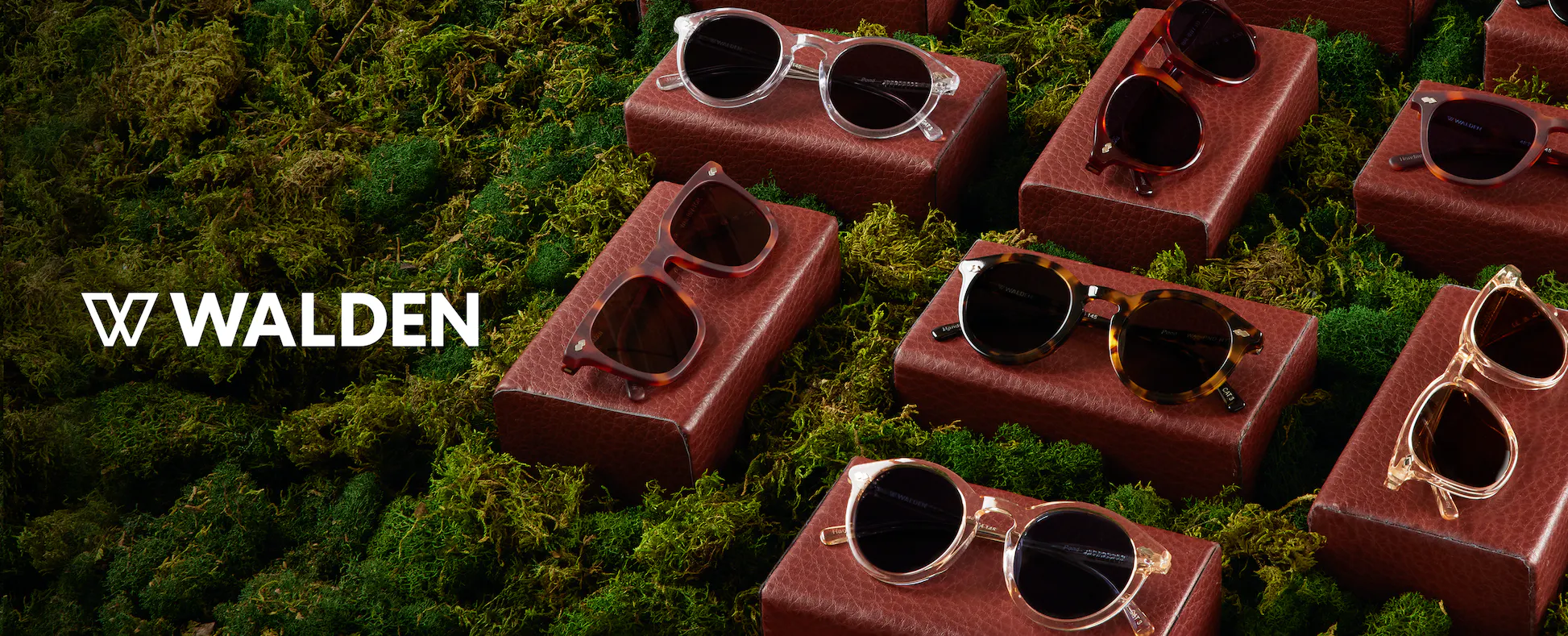The Thursday Buy: Get the Best New Sunglasses from Huckberry For Under ...